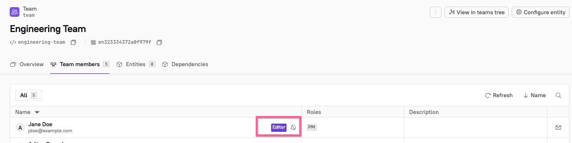 The 'Editor' label next to a team member's name on the team page.