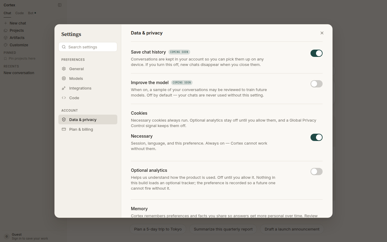 Data & privacy settings — Save chat history, Improve the model, Necessary cookies, Optional analytics