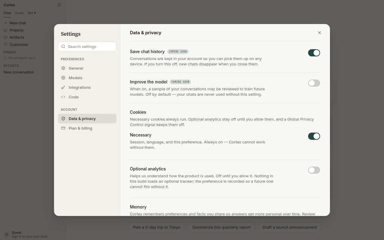 Data & privacy settings — Save chat history, Improve the model, Necessary cookies, Optional analytics