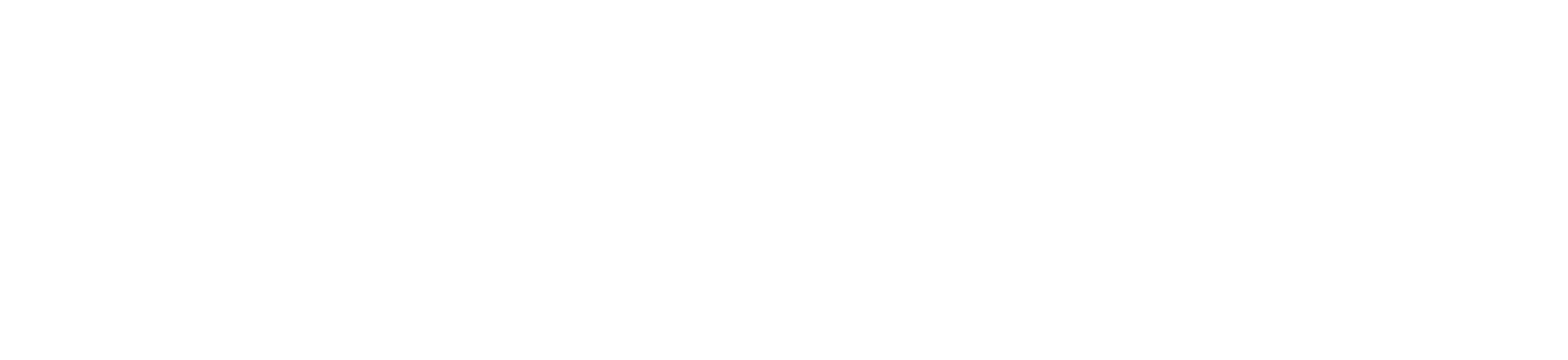 dark logo