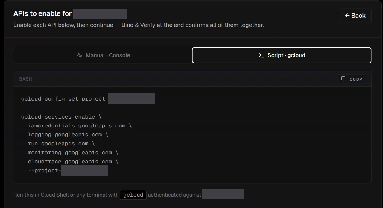 Script mode showing the generated gcloud services enable command
