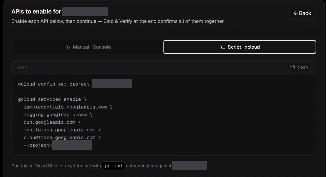 Script mode showing the generated gcloud services enable command