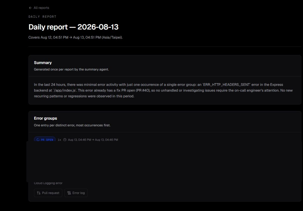 Daily report detail with summary and grouped errors
