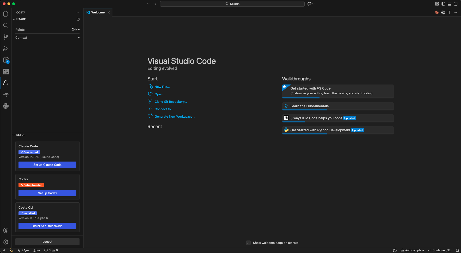 Codex CLI interface