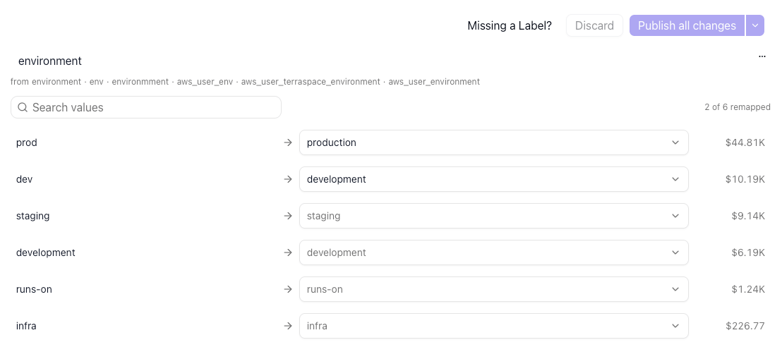 Environment dimension editor remapping values to canonical names