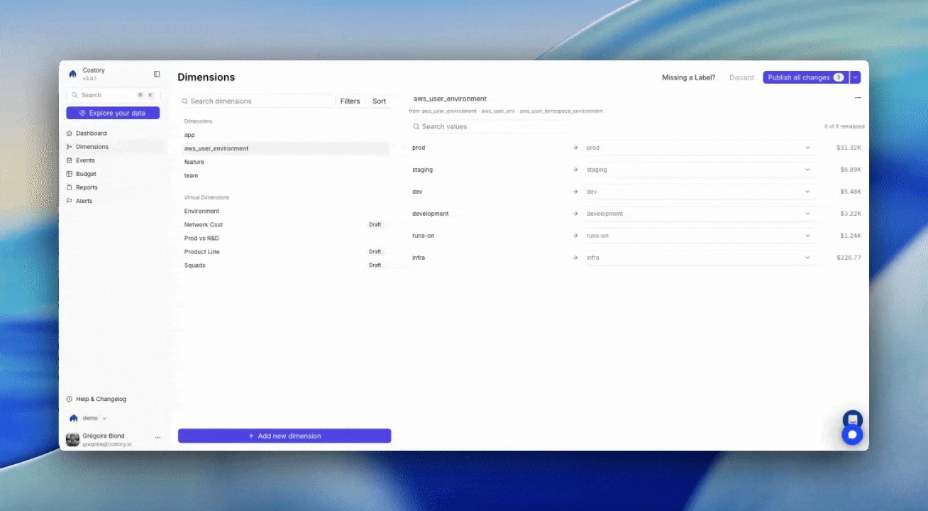 Dimensions UI showing label values being remapped into a clean dimension