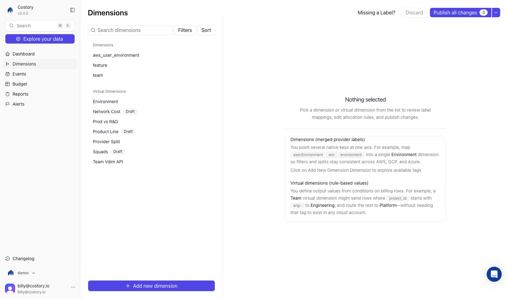 Costory Dimensions page listing imported labels and virtual dimensions