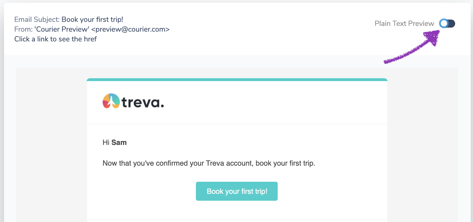 Plain Text Preview Toggle