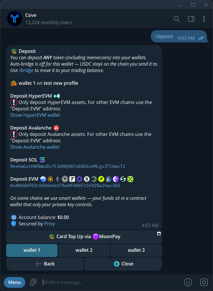 Deposit addresses, the selected wallet, and the auto-bridge preference.