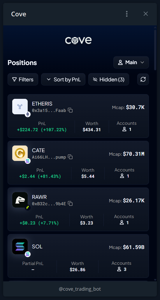 The Positions Mini App groups holdings by token and shows PnL, worth, and account counts.