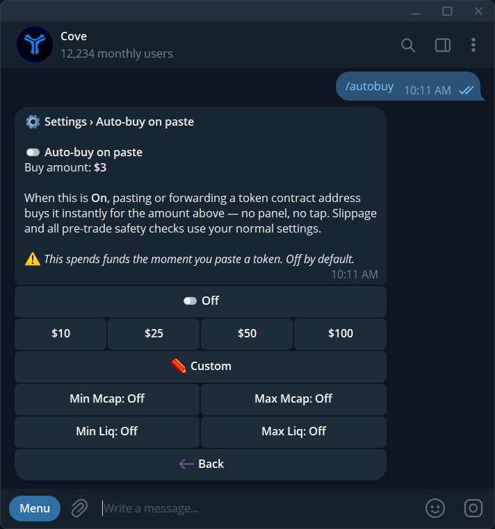 Auto-buy on paste is off in this example; review the amount and market-cap/liquidity limits before enabling it.