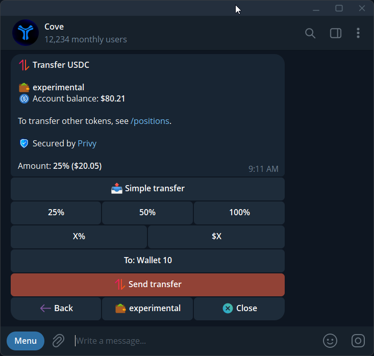 Review the amount and destination wallet before sending a simple USDC transfer.