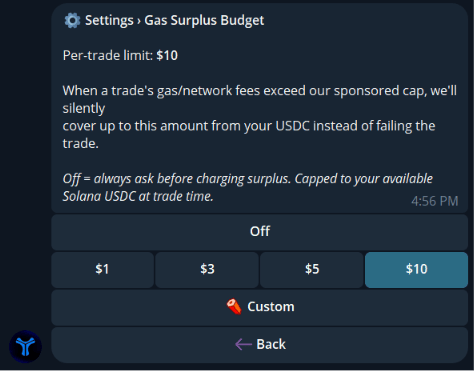 Gas surplus budget settings