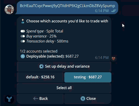 Configuring multi-wallet spend type, variance, and delay