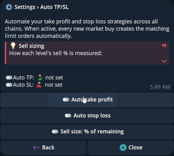 Current Auto TP or SL overview with take-profit, stop-loss, and sell-sizing controls