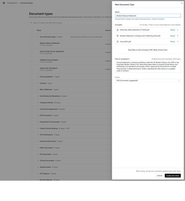 New Document Type drawer with a name, three examples and a drafted description