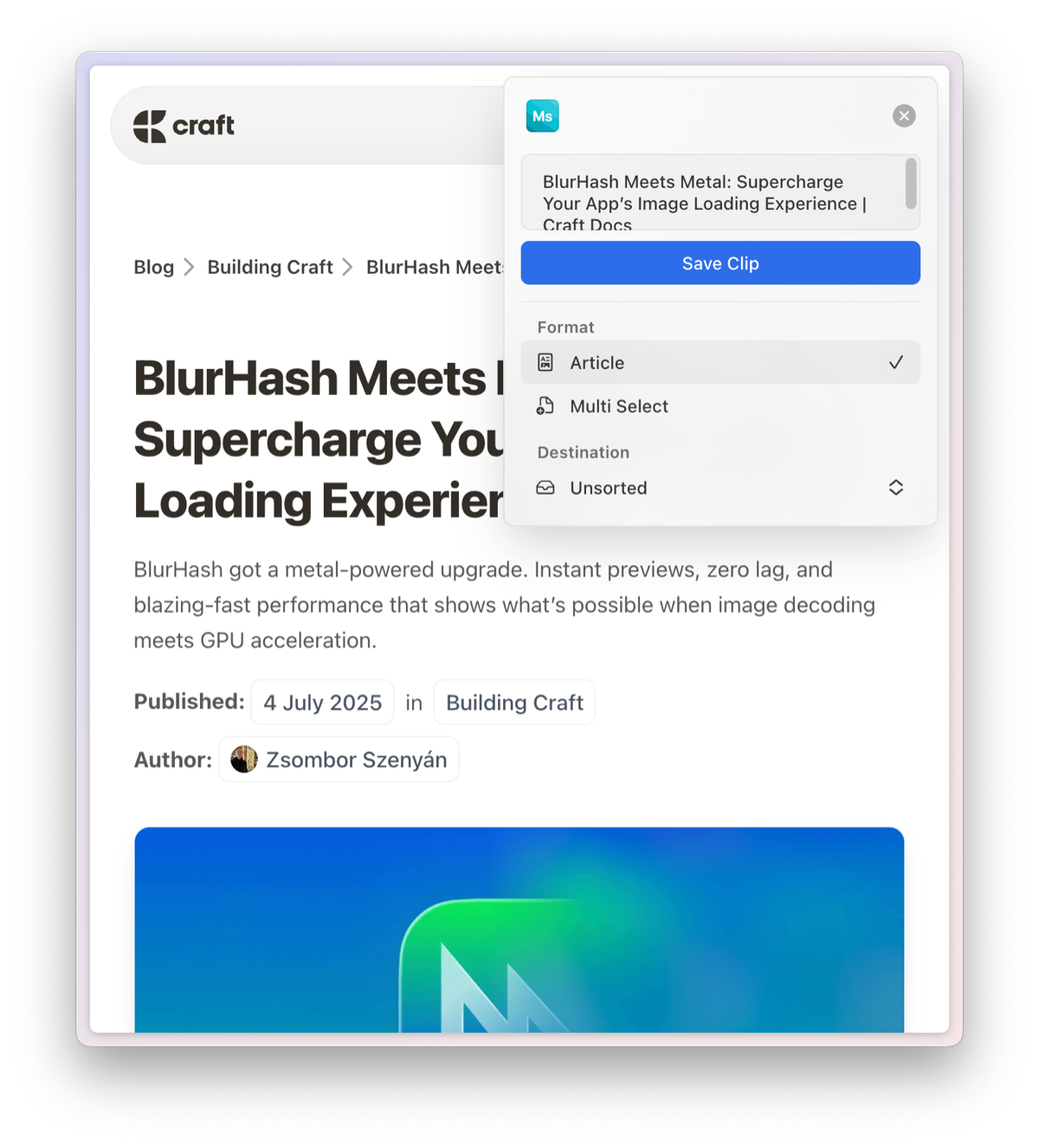 Article format option