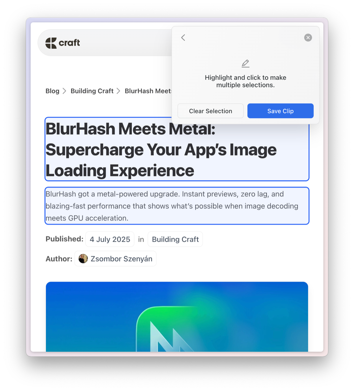 Multi-select format option