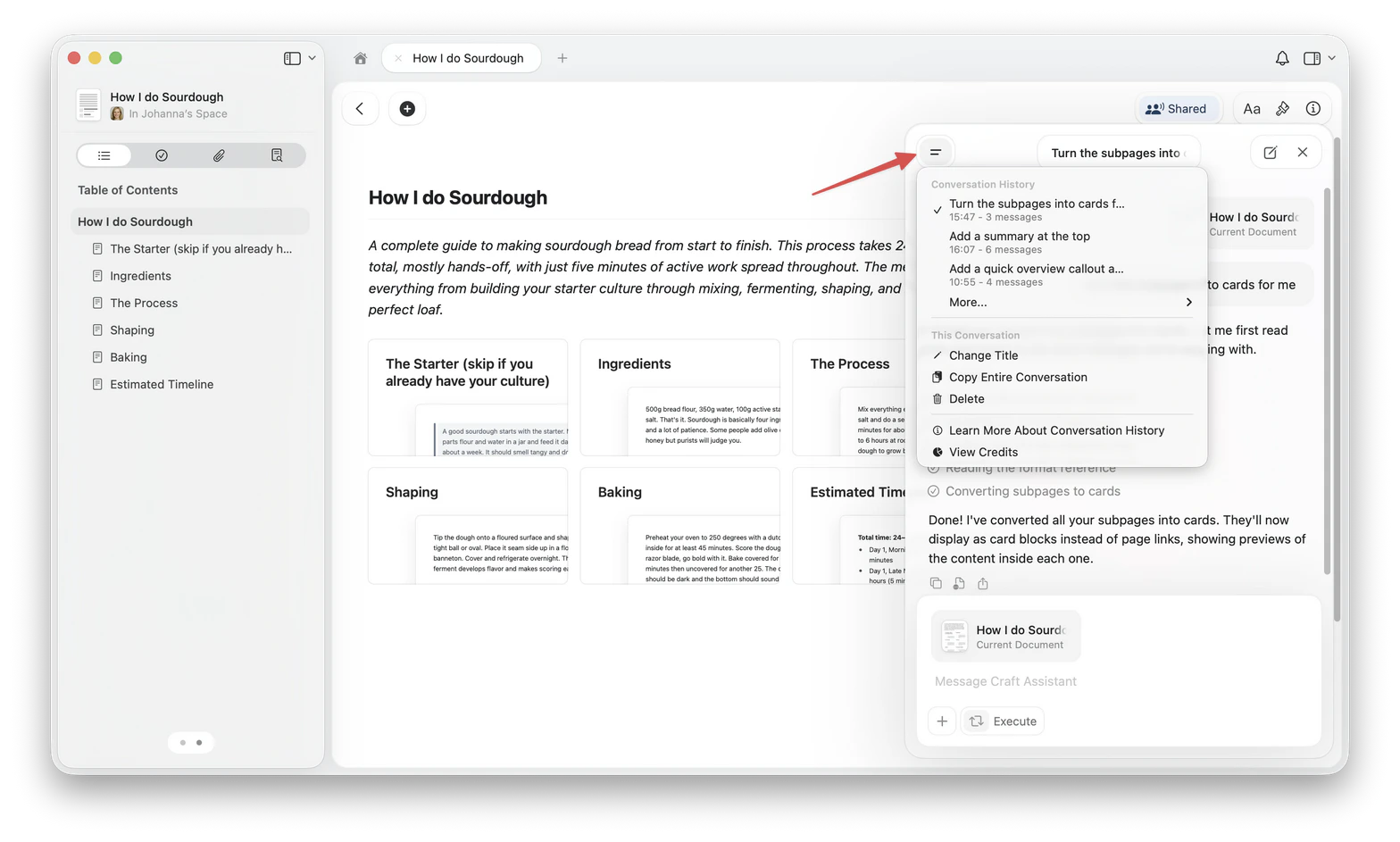 Conversation History showing past sessions