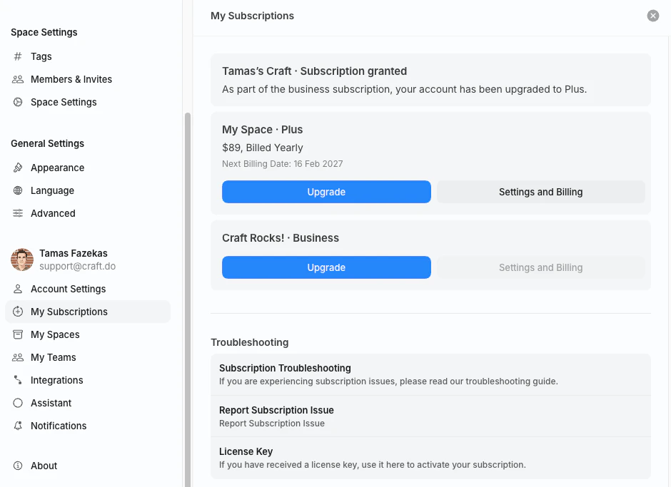 My Subscriptions panel listing personal and business subscriptions