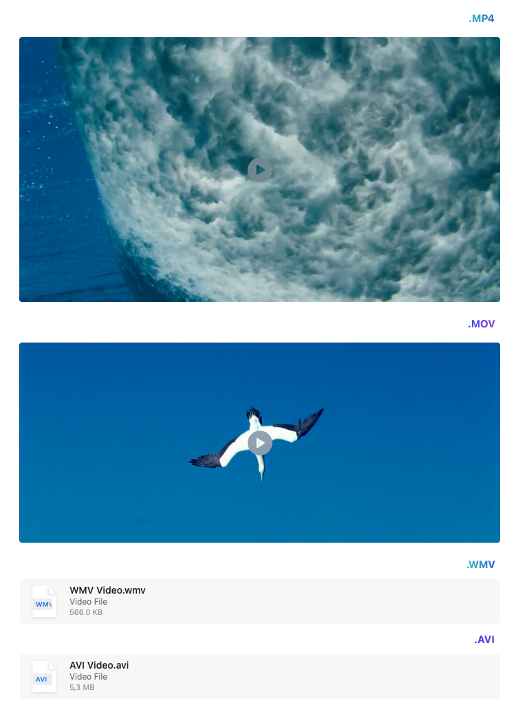 Video format preview