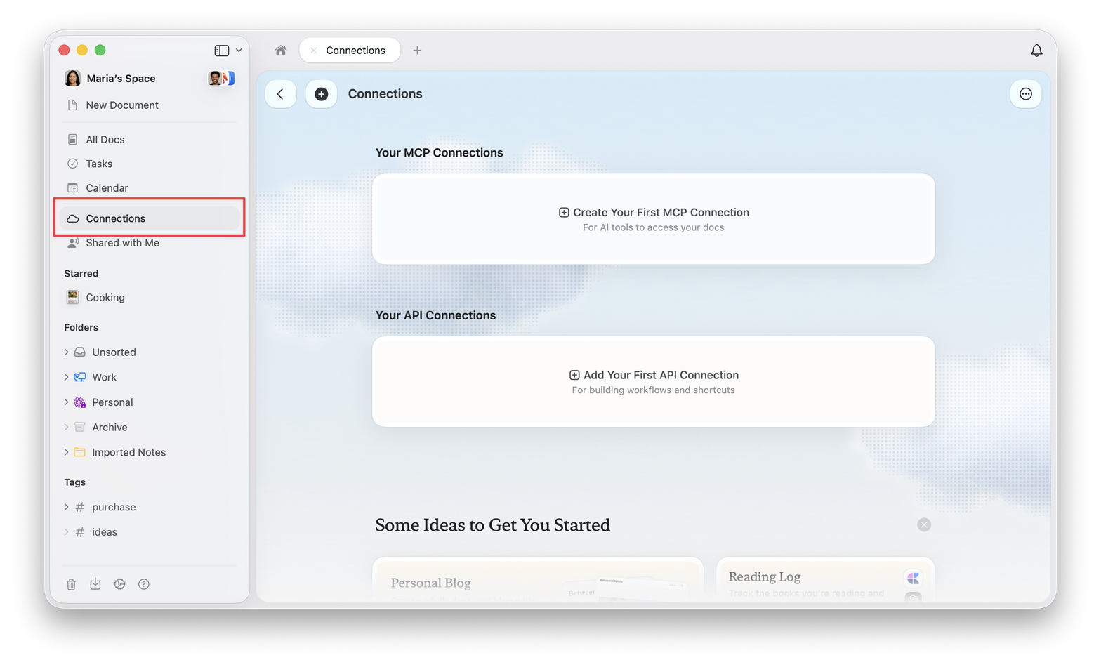 La scheda Connessioni nella sidebar, con le sezioni delle connessioni MCP e API
