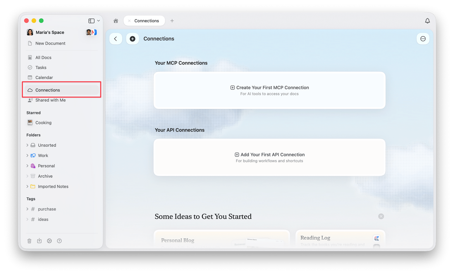 La scheda Connessioni nella sidebar, con le sezioni delle connessioni MCP e API