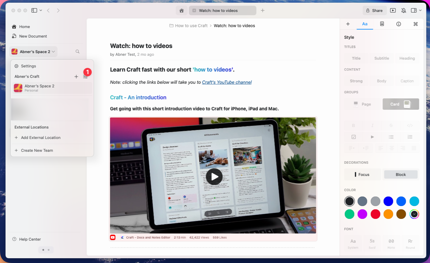 로고 활성화 옵션이 표시된 Team 설정