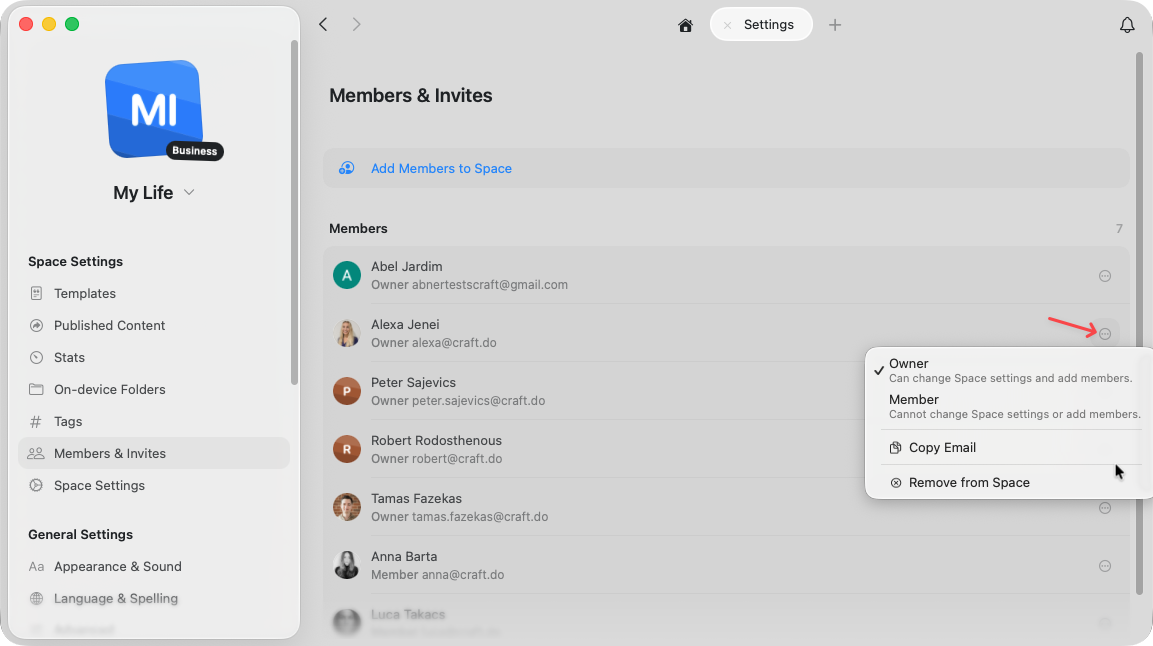 显示 Owner 与 Member 角色的空间成员权限界面