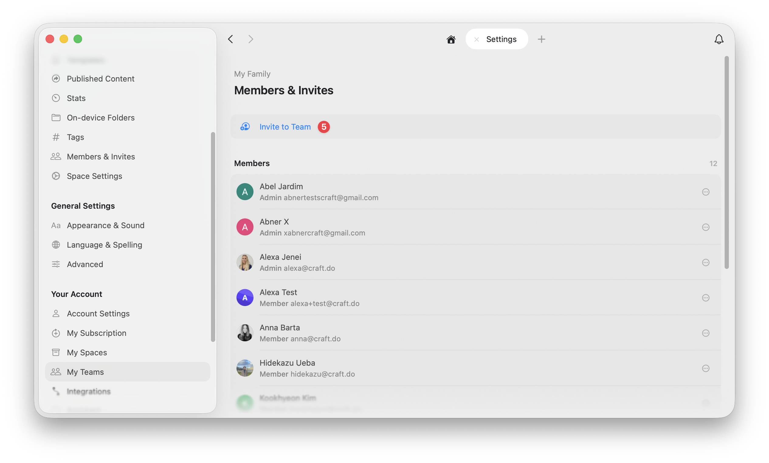 Invite to Team 按钮及电子邮件输入字段