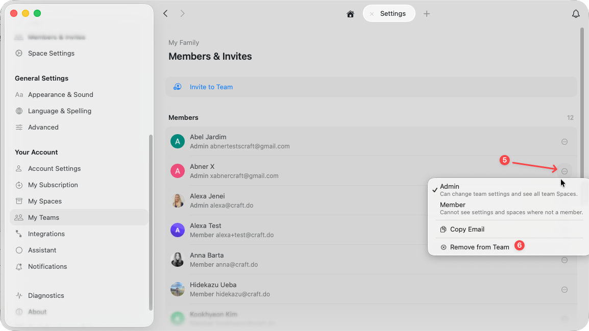 Team 成员列表,显示移除选项