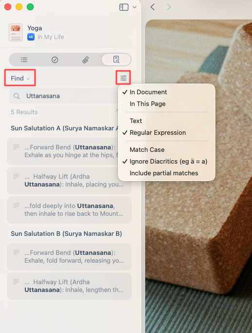 搜索选项和过滤器