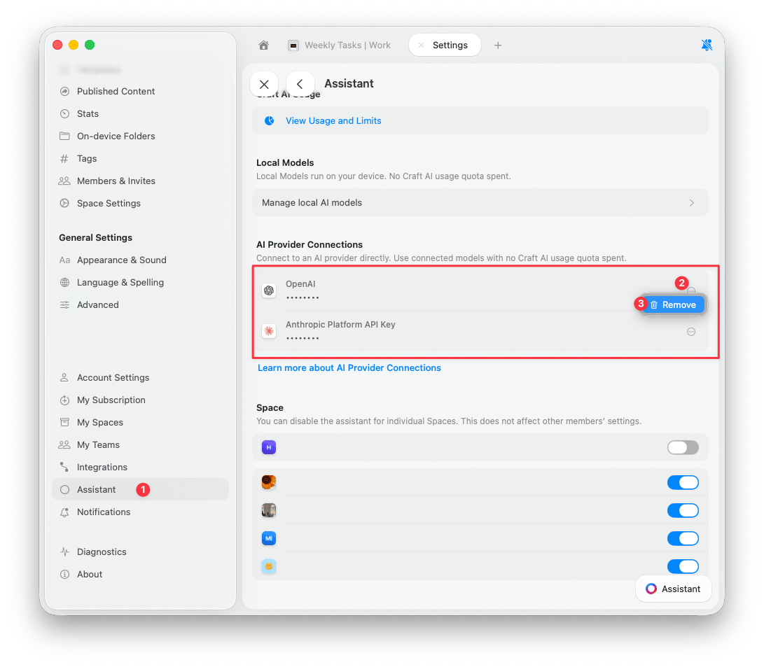 AI Provider Connections showing connected providers with Remove button