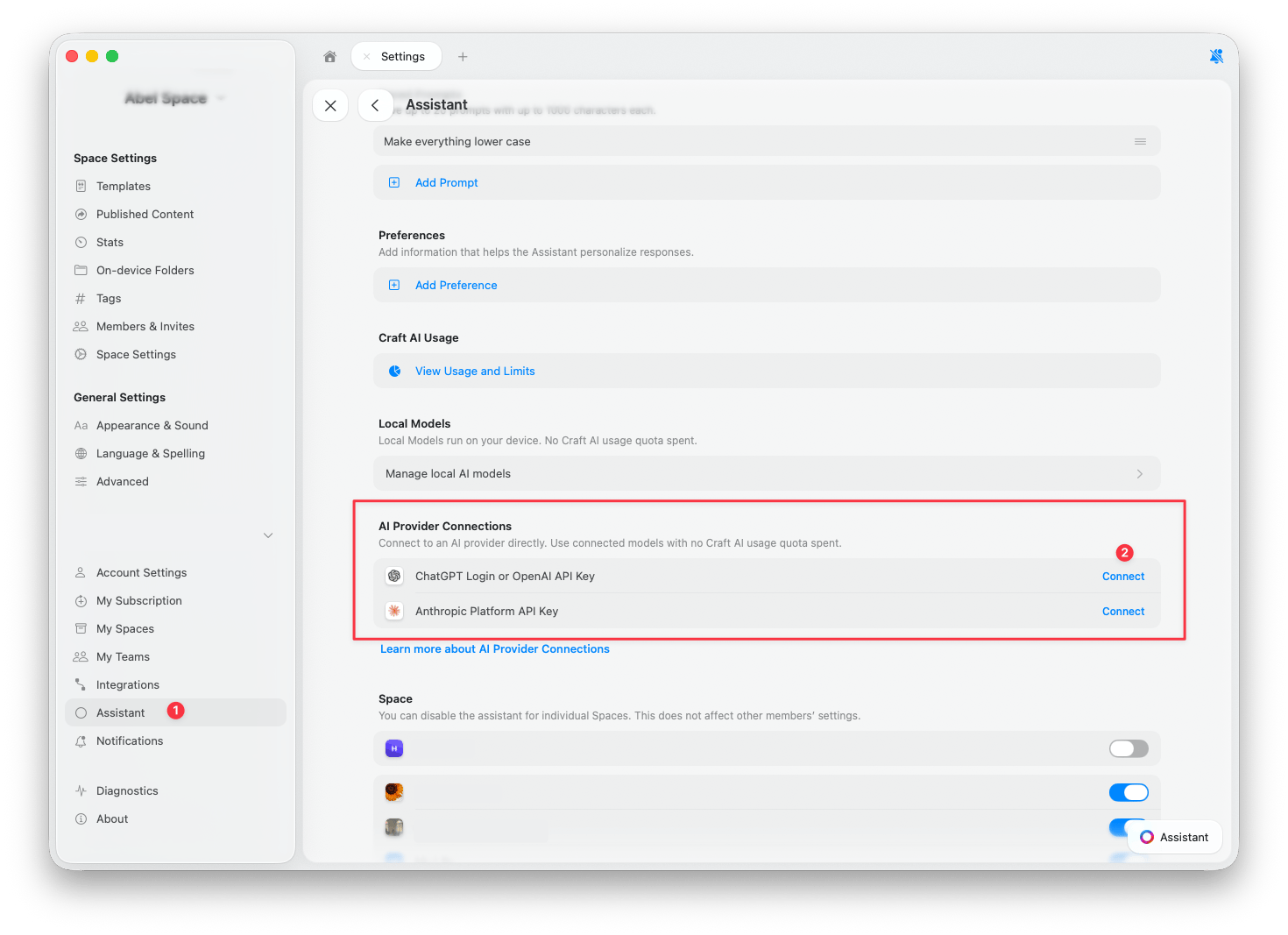 AI Provider Connections section in Settings showing OpenAI and Anthropic options