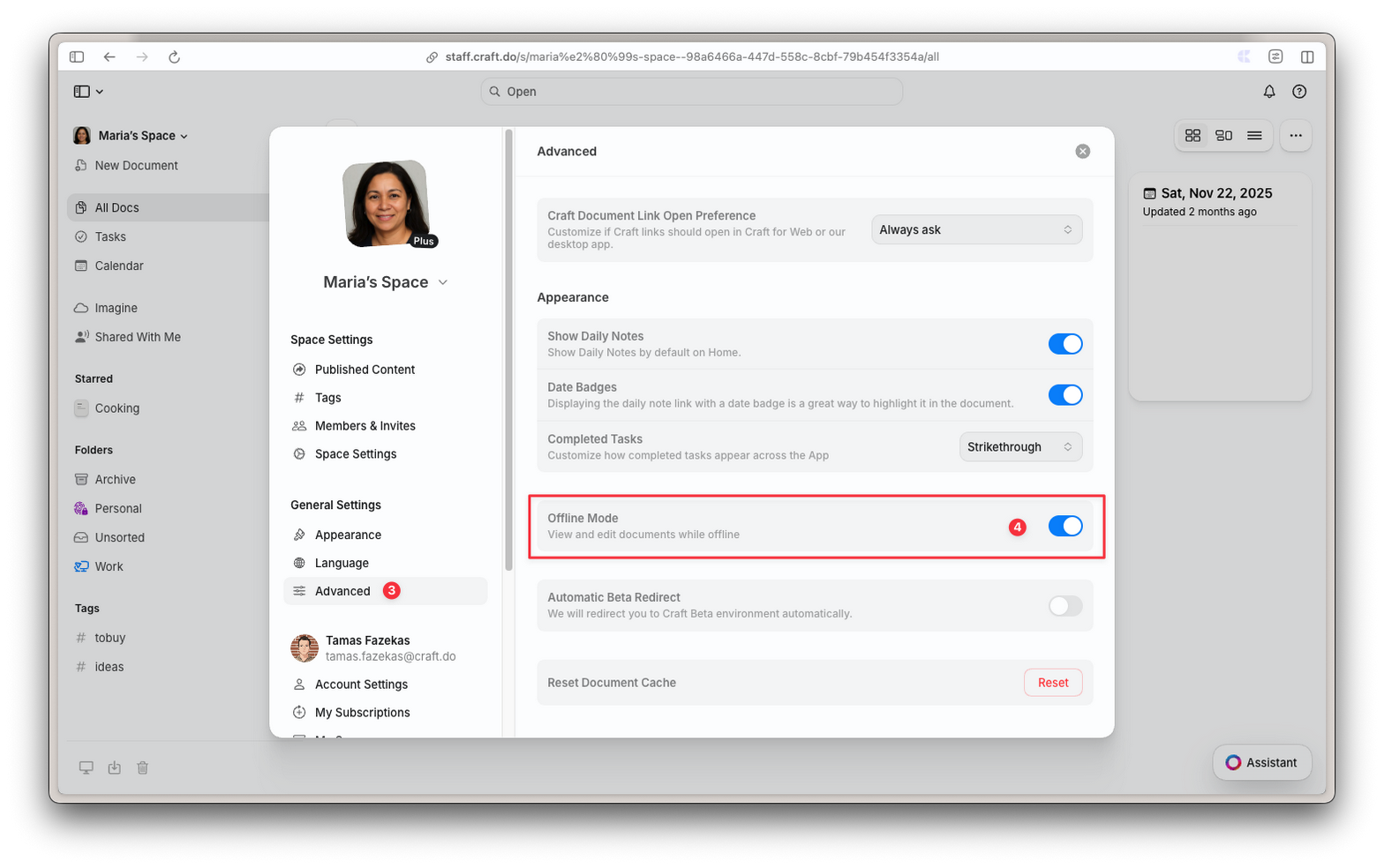 Advanced settings with Offline Mode toggle