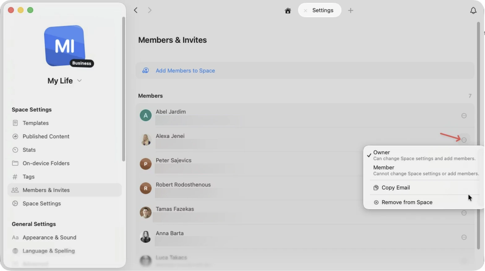 Space Members & Invites panel with the three-dot menu next to a member