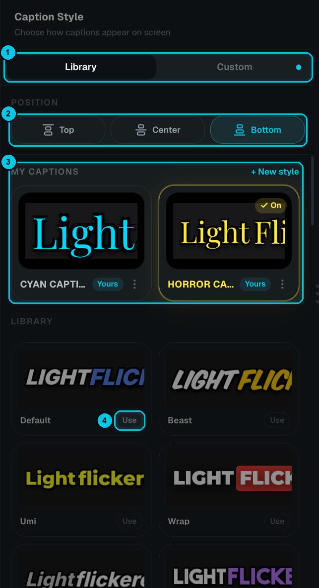 The Caption Style panel with the library