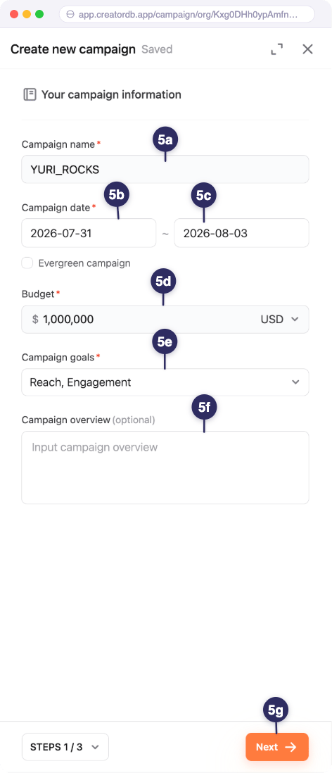 Enter the campaign information