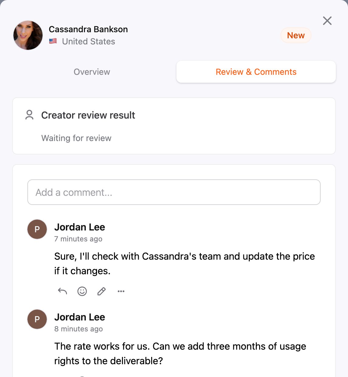 Comments on the Review & Comments tab