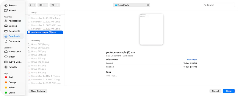 Uploaded .csv file
