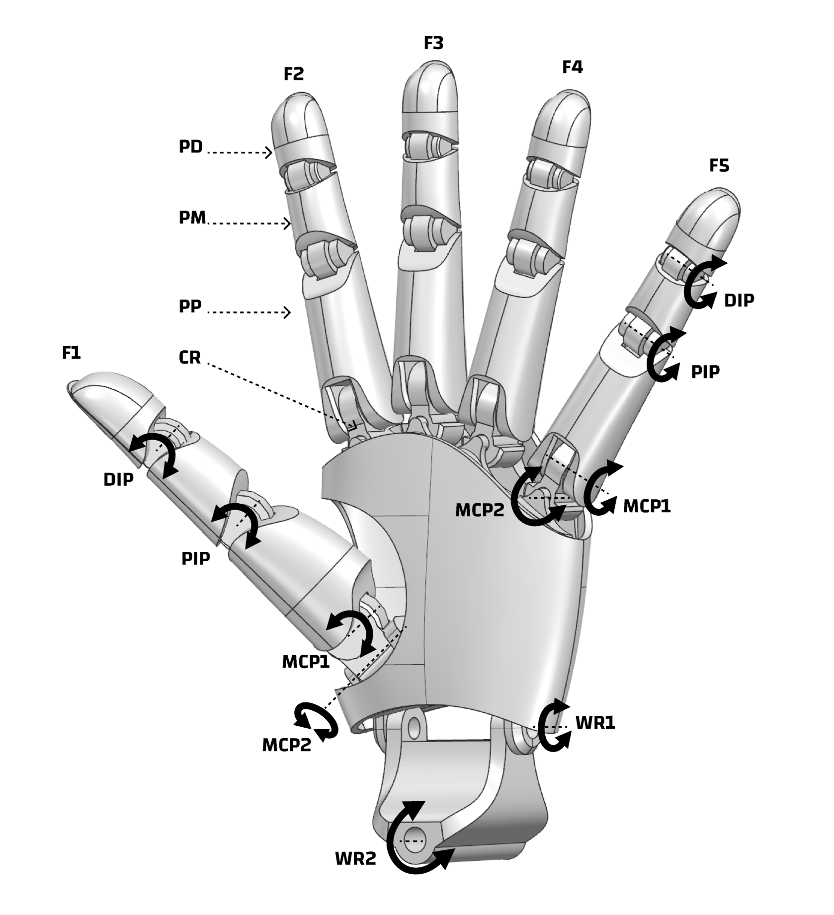 Prime Hand joint motion directions