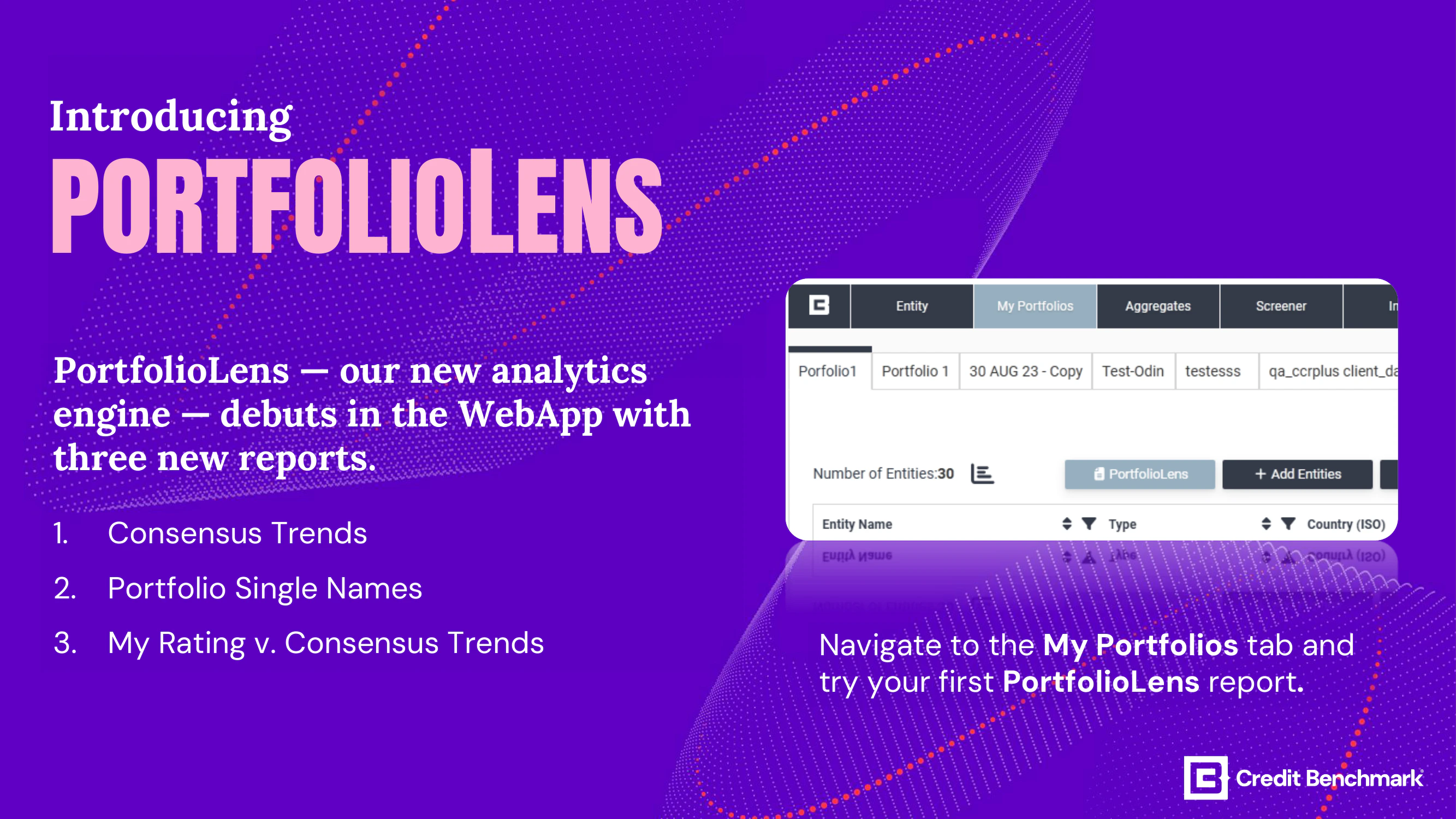 PortfolioLens analytics report interface.