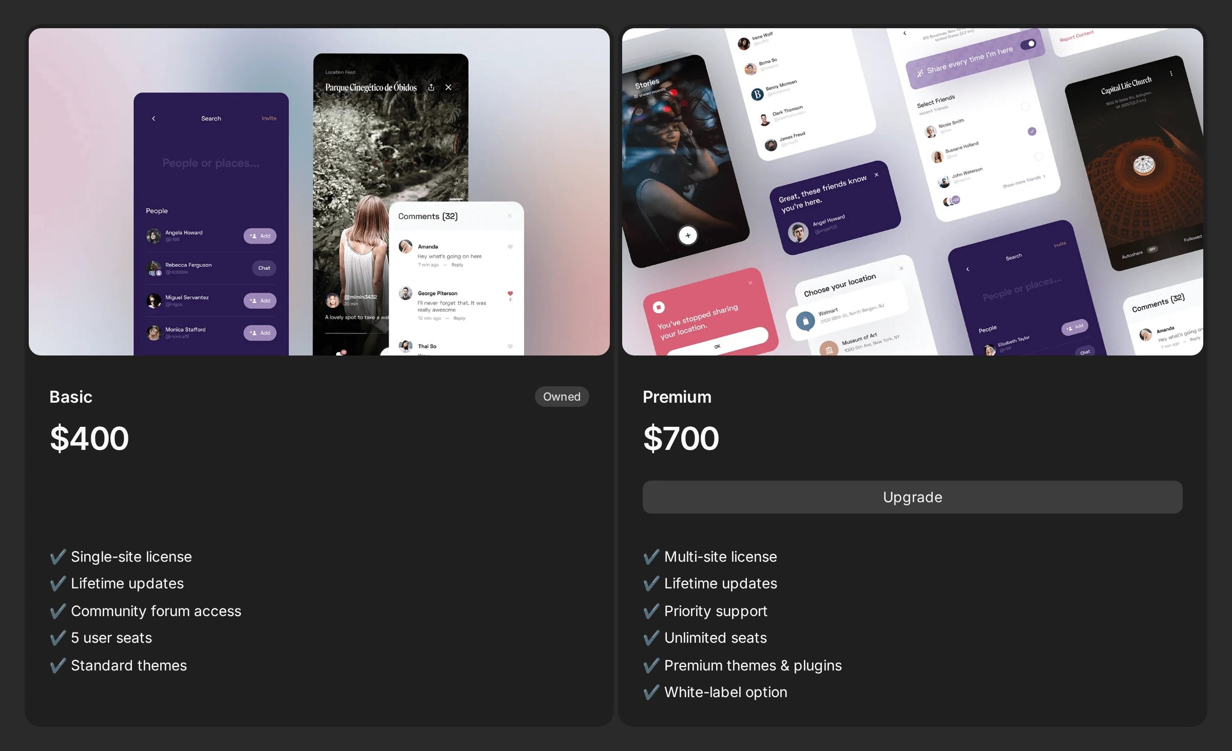 Two product cards side by side: Basic at $400 marked Owned with no buy button, and Premium at $700 offering an Upgrade button