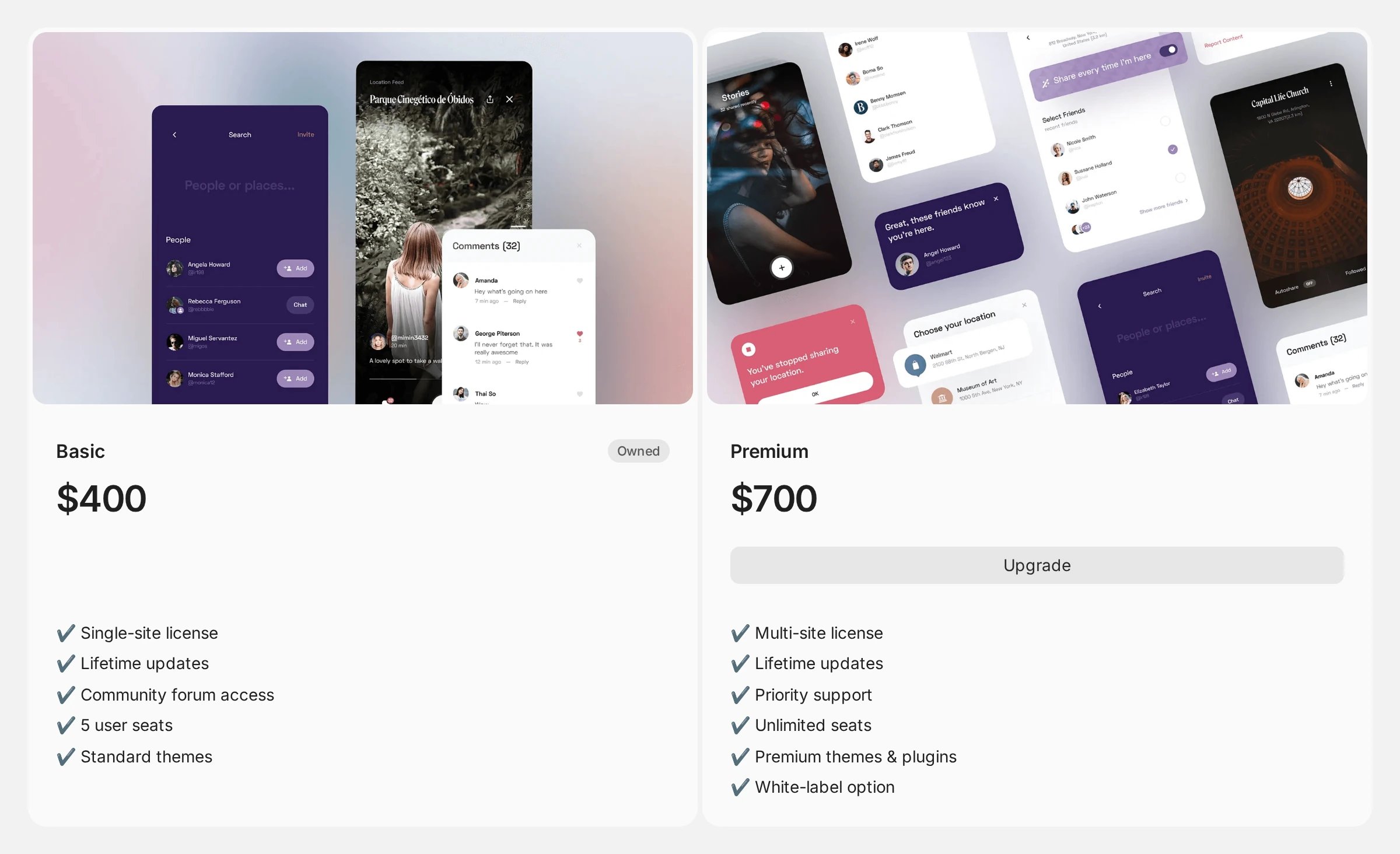Two product cards side by side: Basic at $400 marked Owned with no buy button, and Premium at $700 offering an Upgrade button