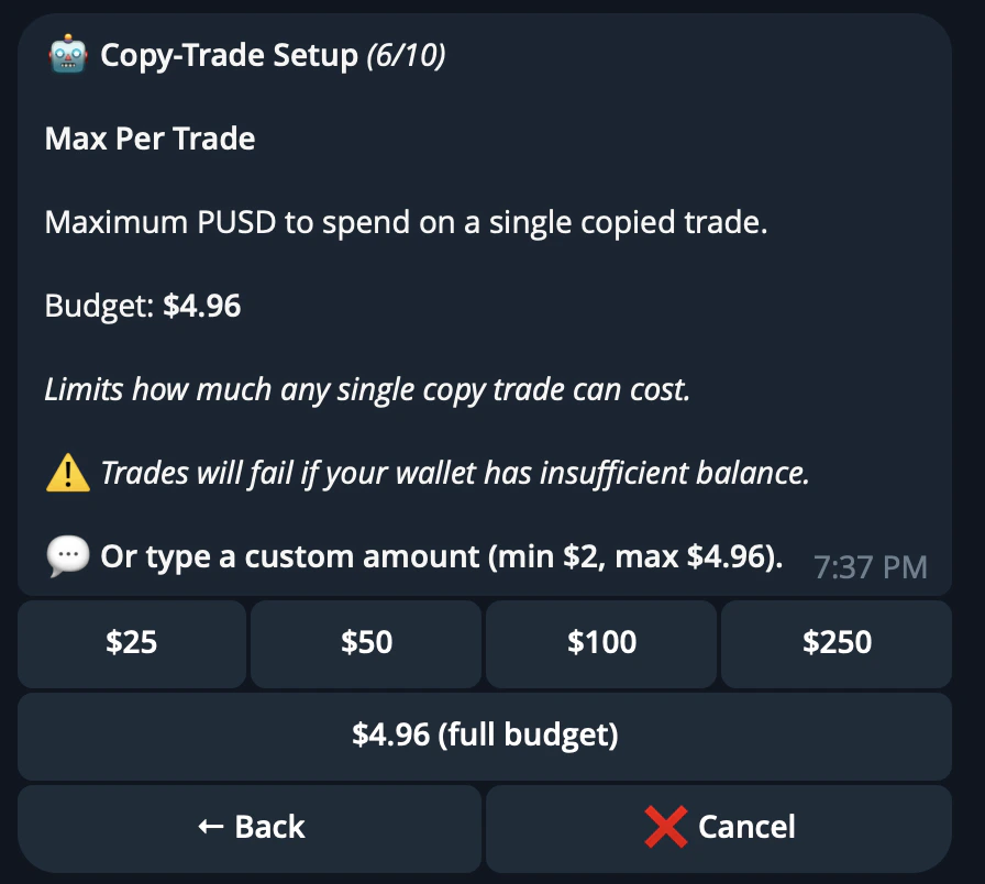 CRISP Telegram bot copytrade filter setup step