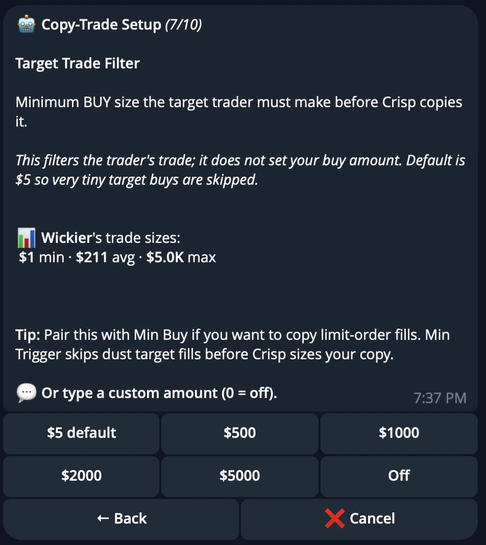 CRISP Telegram bot copytrade filter setup step