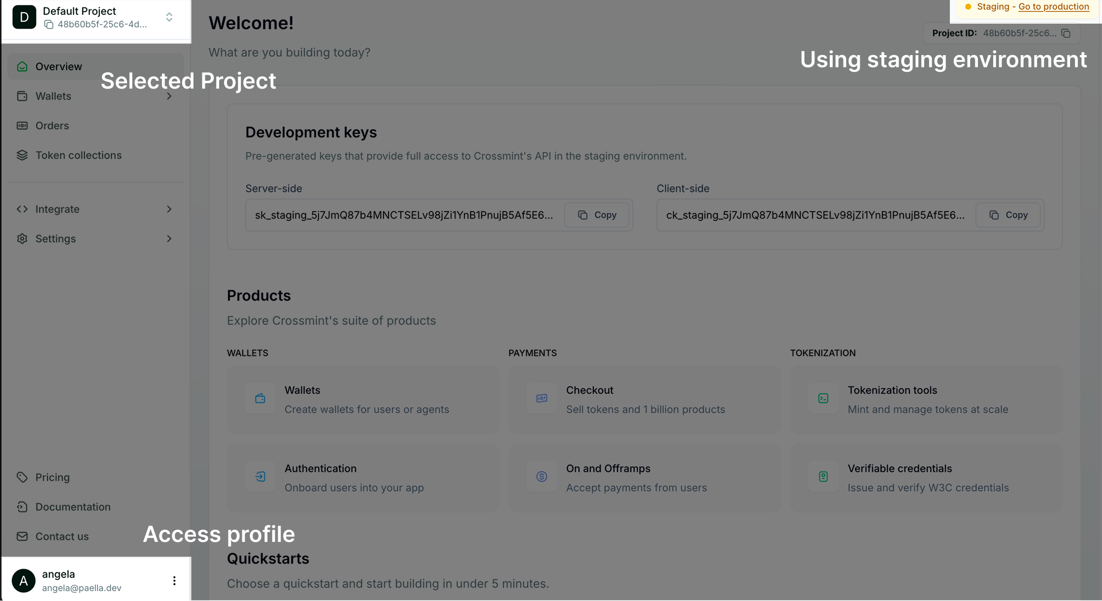 Crossmint developer console overview map