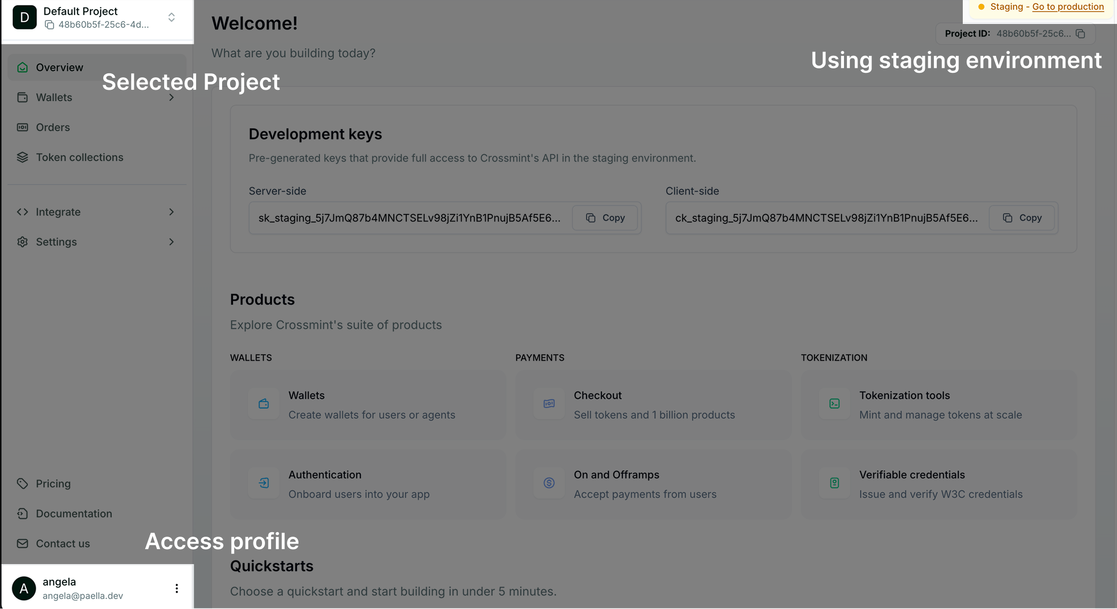 Crossmint developer console overview map