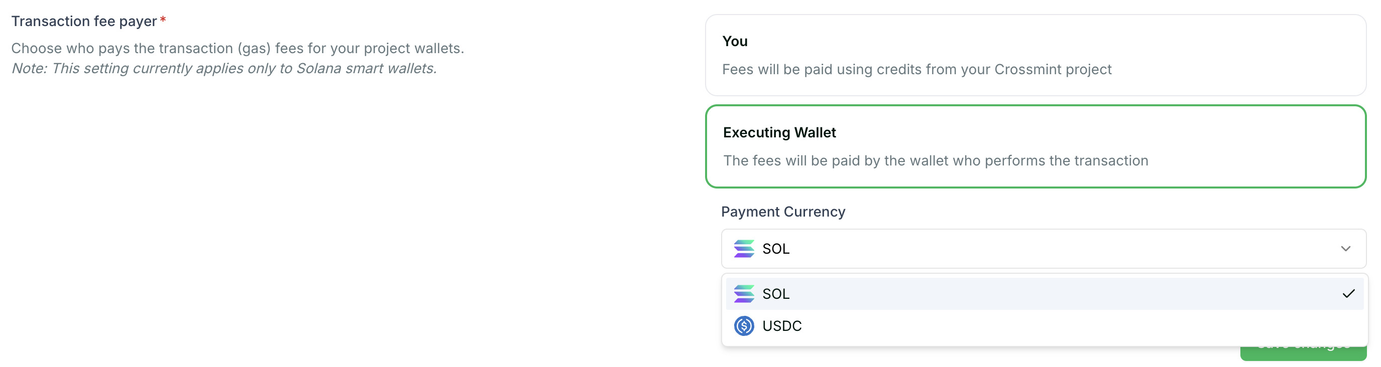 Solana Payment Currency Options
