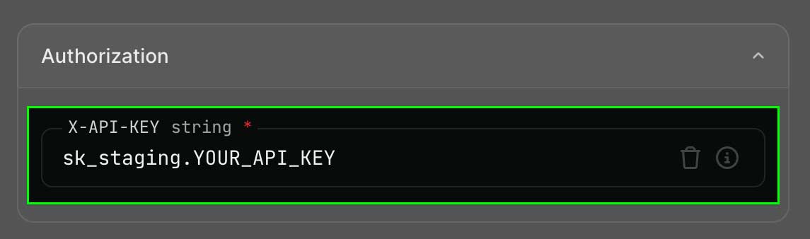 Set x-api-key screenshot